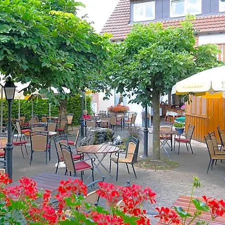 Landgasthof Gruener Baum ホテル Hochdorf