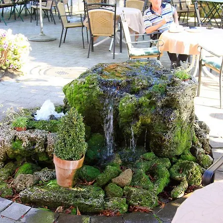 Landgasthof Gruener Baum *