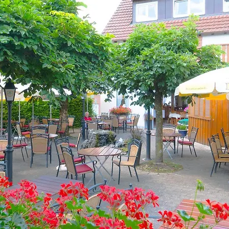 Landgasthof Gruener Baum Hotel