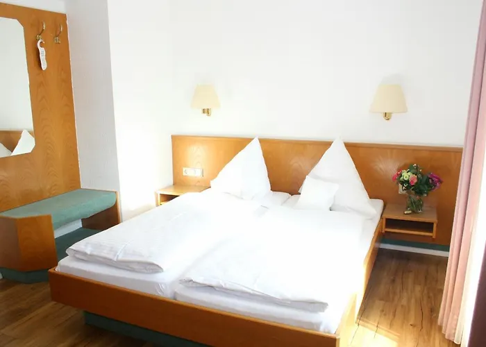 Landgasthof Gruener Baum Hotel Hochdorf (Biberach)